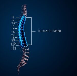 MRI of the thoracic spine