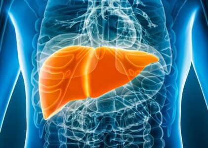 Liver