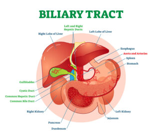MRI Biliary tract 