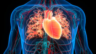 Cardiac-MRI-Congenital-Heart-Disease